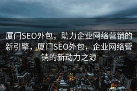厦门SEO外包，助力企业网络营销的新引擎，厦门SEO外包，企业网络营销的新动力之源