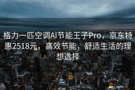 格力一匹空调Ai节能王子Pro，京东特惠2518元，高效节能，舒适生活的理想选择