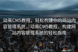 动易CMS教程，轻松构建你的网站内容管理系统，动易CMS教程，构建网站内容管理系统的轻松指南
