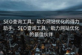 SEO查询工具，助力网站优化的得力助手，SEO查询工具，助力网站优化的最佳伙伴