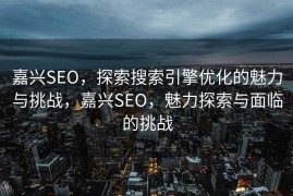 嘉兴SEO，探索搜索引擎优化的魅力与挑战，嘉兴SEO，魅力探索与面临的挑战