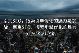 南京SEO，搜索引擎优化的魅力与挑战，南京SEO，搜索引擎优化的魅力与迎战挑战之路