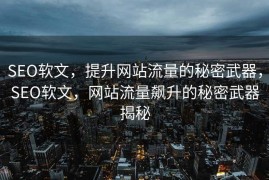 SEO软文，提升网站流量的秘密武器，SEO软文，网站流量飙升的秘密武器揭秘
