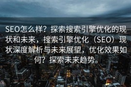 SEO怎么样？探索搜索引擎优化的现状和未来，搜索引擎优化（SEO）现状深度解析与未来展望，优化效果如何？探索未来趋势。