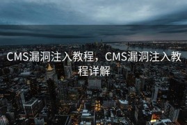 CMS漏洞注入教程，CMS漏洞注入教程详解