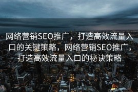 网络营销SEO推广，打造高效流量入口的关键策略，网络营销SEO推广，打造高效流量入口的秘诀策略