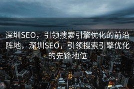 深圳SEO，引领搜索引擎优化的前沿阵地，深圳SEO，引领搜索引擎优化的先锋地位