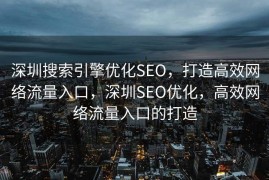 深圳搜索引擎优化SEO，打造高效网络流量入口，深圳SEO优化，高效网络流量入口的打造
