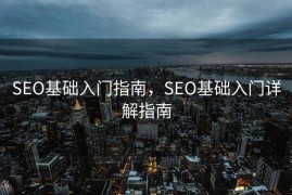 SEO基础入门指南，SEO基础入门详解指南