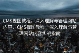 CMS视图教程，深入理解与管理网站内容，CMS视图教程，深入理解与管理网站内容实战指南