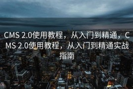 CMS 2.0使用教程，从入门到精通，CMS 2.0使用教程，从入门到精通实战指南