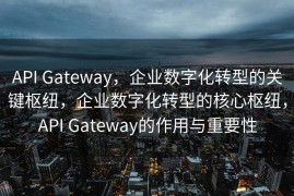 API Gateway，企业数字化转型的关键枢纽，企业数字化转型的核心枢纽，API Gateway的作用与重要性