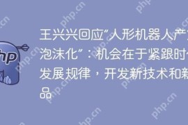 王兴兴回应“人形机器人产业泡沫化”：机会在于紧跟时代发展规律，开发新技术和新产品