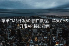 苹果CMS开发API接口教程，苹果CMS开发API接口指南