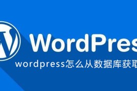 wordpress怎么从数据库获取数据