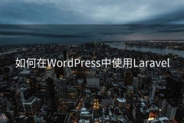 如何在WordPress中使用Laravel