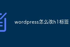 wordpress怎么改h1标签