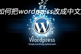 如何把wordpress改成中文版