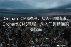 Orchard CMS教程，从入门到精通，Orchard CMS教程，从入门到精通实战指南