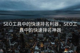 SEO工具中的快速排名利器，SEO工具中的快速排名神器