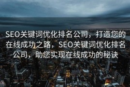 SEO关键词优化排名公司，打造您的在线成功之路，SEO关键词优化排名公司，助您实现在线成功的秘诀