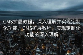CMS扩展教程，深入理解并实现定制化功能，CMS扩展教程，实现定制化功能的深入理解