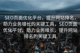 SEO页面优化平台，提升网站排名，助力业务增长的关键工具，SEO页面优化平台，助力业务增长，提升网站排名的关键工具