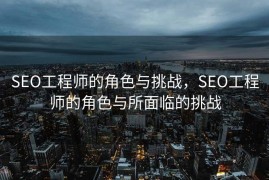 SEO工程师的角色与挑战，SEO工程师的角色与所面临的挑战