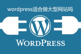 wordpress适合做大型网站吗
