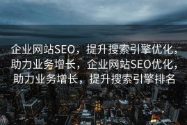 企业网站SEO，提升搜索引擎优化，助力业务增长，企业网站SEO优化，助力业务增长，提升搜索引擎排名