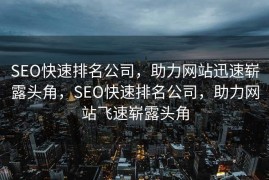 SEO快速排名公司，助力网站迅速崭露头角，SEO快速排名公司，助力网站飞速崭露头角