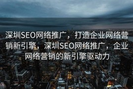 深圳SEO网络推广，打造企业网络营销新引擎，深圳SEO网络推广，企业网络营销的新引擎驱动力