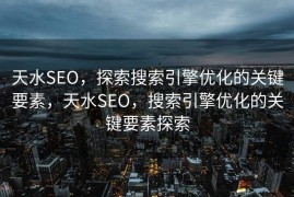 天水SEO，探索搜索引擎优化的关键要素，天水SEO，搜索引擎优化的关键要素探索