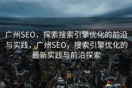 广州SEO，探索搜索引擎优化的前沿与实践，广州SEO，搜索引擎优化的最新实践与前沿探索