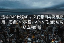 迅睿CMS教程API，入门指南与高级应用，迅睿CMS教程，API入门指南与高级应用解析