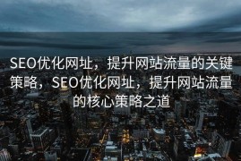 SEO优化网址，提升网站流量的关键策略，SEO优化网址，提升网站流量的核心策略之道