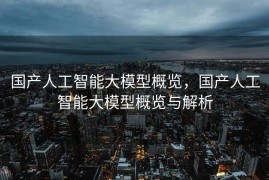 国产人工智能大模型概览，国产人工智能大模型概览与解析