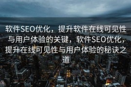 软件SEO优化，提升软件在线可见性与用户体验的关键，软件SEO优化，提升在线可见性与用户体验的秘诀之道
