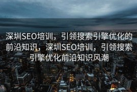 深圳SEO培训，引领搜索引擎优化的前沿知识，深圳SEO培训，引领搜索引擎优化前沿知识风潮