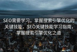 SEO需要学习，掌握搜索引擎优化的关键技能，SEO关键技能学习指南，掌握搜索引擎优化之道