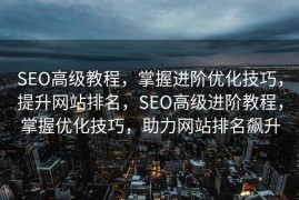 SEO高级教程，掌握进阶优化技巧，提升网站排名，SEO高级进阶教程，掌握优化技巧，助力网站排名飙升