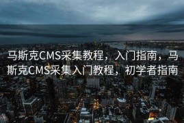 马斯克CMS采集教程，入门指南，马斯克CMS采集入门教程，初学者指南