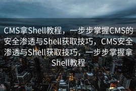 CMS拿Shell教程，一步步掌握CMS的安全渗透与Shell获取技巧，CMS安全渗透与Shell获取技巧，一步步掌握拿Shell教程