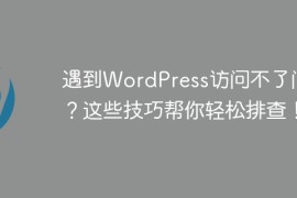 遇到WordPress访问不了问题？这些技巧帮你轻松排查！