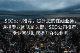 CMS操作教程，从入门到精通，CMS操作教程，从入门到精通指南