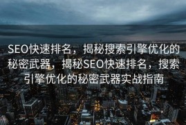 SEO快速排名，揭秘搜索引擎优化的秘密武器，揭秘SEO快速排名，搜索引擎优化的秘密武器实战指南