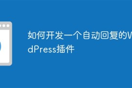 如何开发一个自动回复的WordPress插件