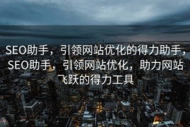 SEO助手，引领网站优化的得力助手，SEO助手，引领网站优化，助力网站飞跃的得力工具