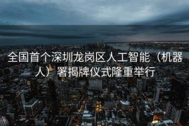 全国首个深圳龙岗区人工智能（机器人）署揭牌仪式隆重举行