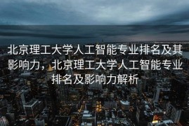 北京理工大学人工智能专业排名及其影响力，北京理工大学人工智能专业排名及影响力解析